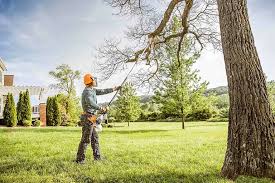 Best Lawn Mowing  in Prosper, TX