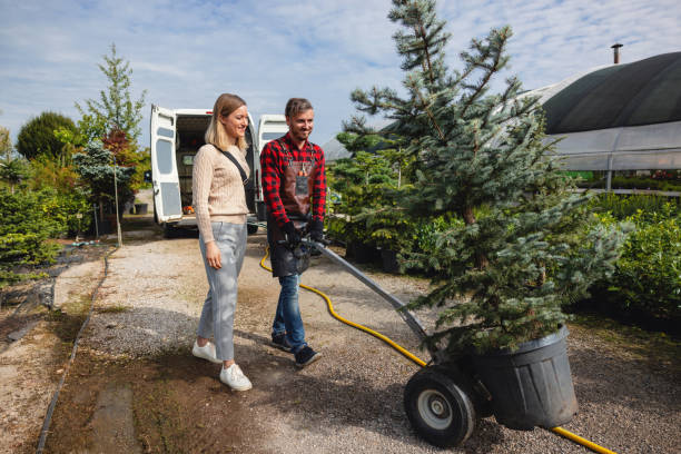 Reliable Prosper, TX Tree Services Solutions