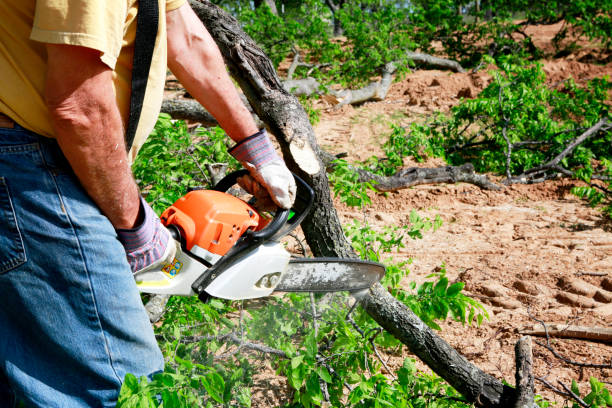 Best Commercial Tree Services  in Prosper, TX